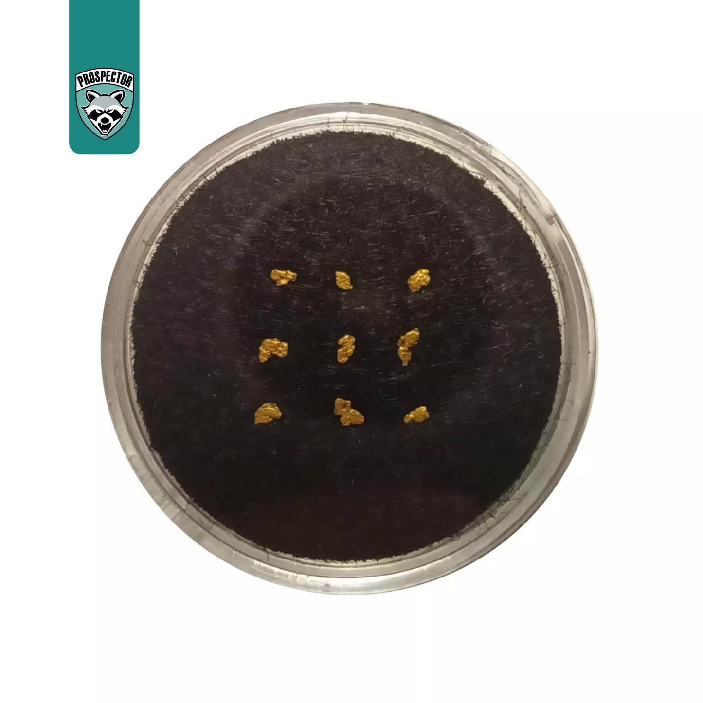 9x echte Goldnuggets aus Deutschland