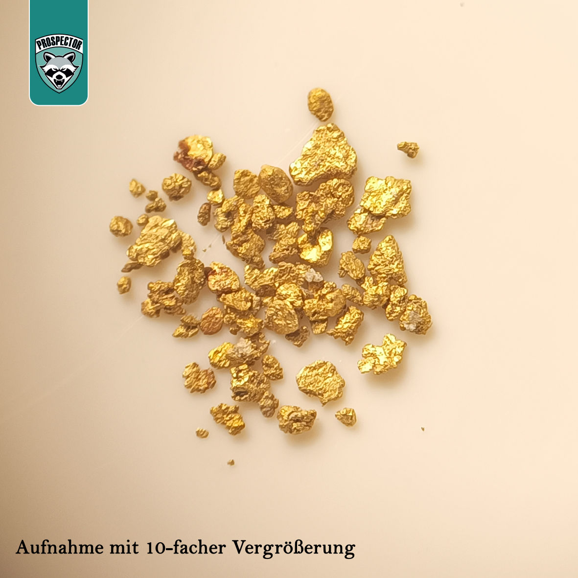 14.09.2025 - Goldwaschkurs an der Orke - Ederbringhausen